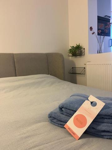 Bloss Iii Zonnige Met Dakterras * Gent